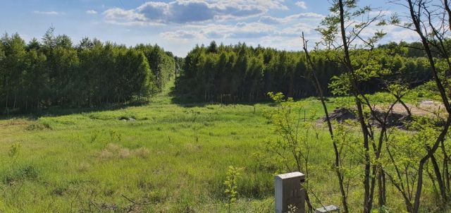 Działka budowlana Kopanino, ul. Przy Lesie. Zdjęcie 1