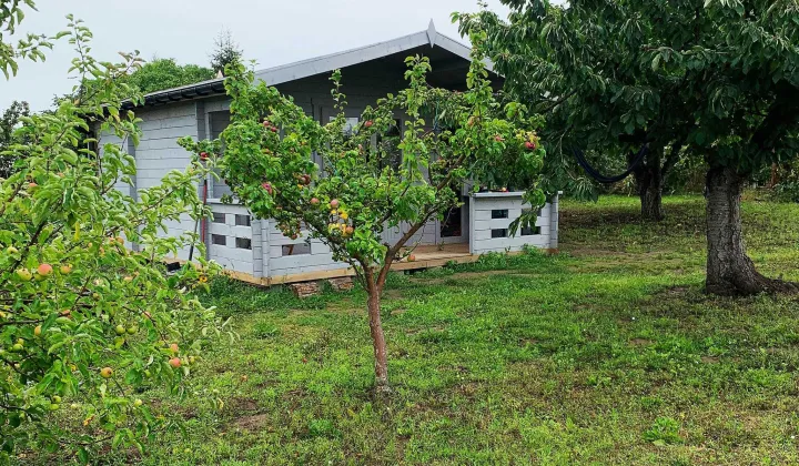 Działka rod Krzywiń