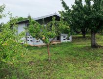 Działka rod Krzywiń