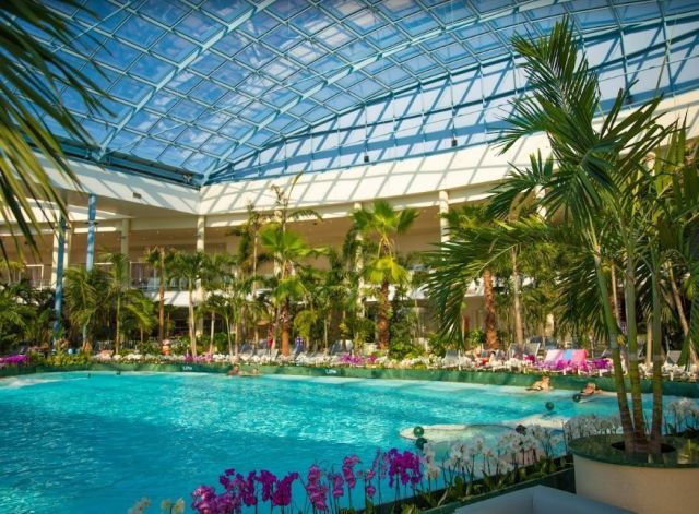 Działka Aleksandria. Zdjęcie 7