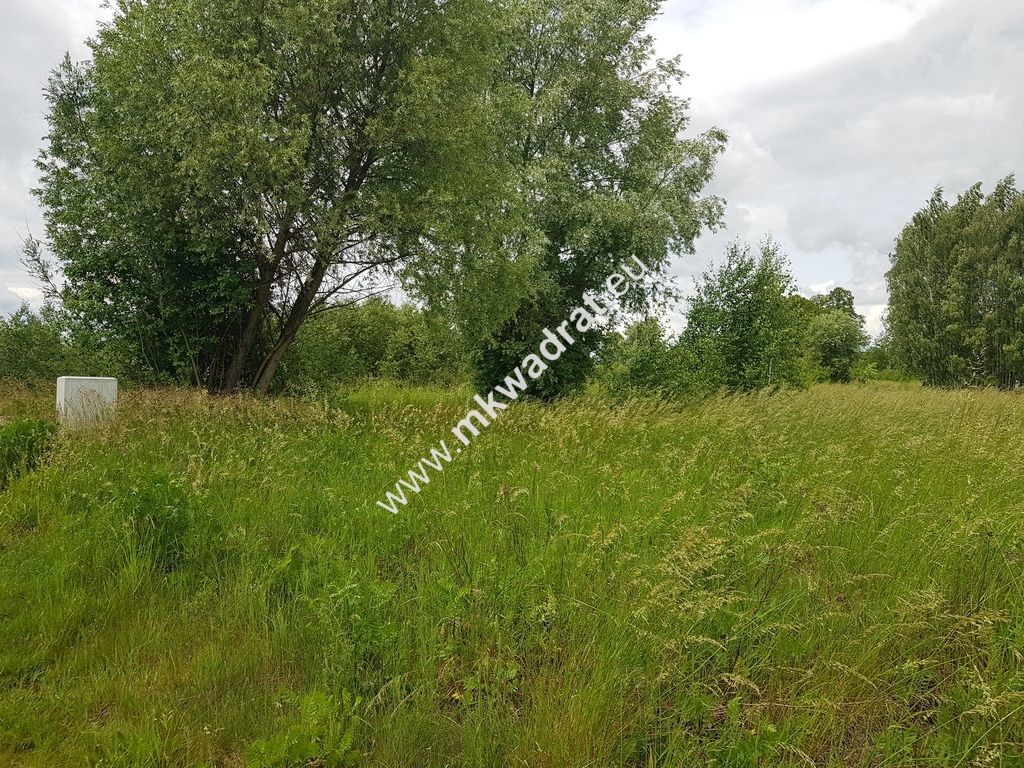 Działka inwestycyjna Jaktorów-Kolonia. Zdjęcie 3