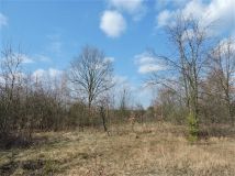 Działka rolno-budowlana Kępiaste. Zdjęcie 4