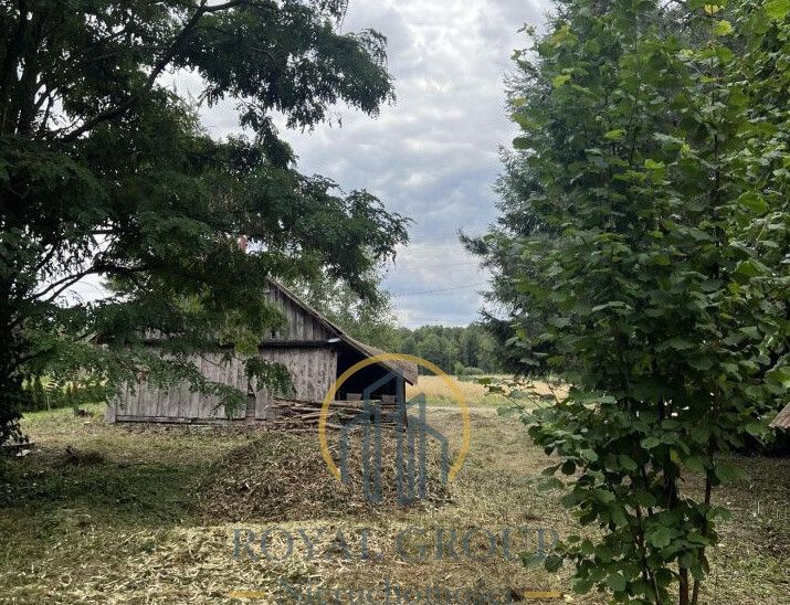 Działka siedliskowa Gołąb. Zdjęcie 7