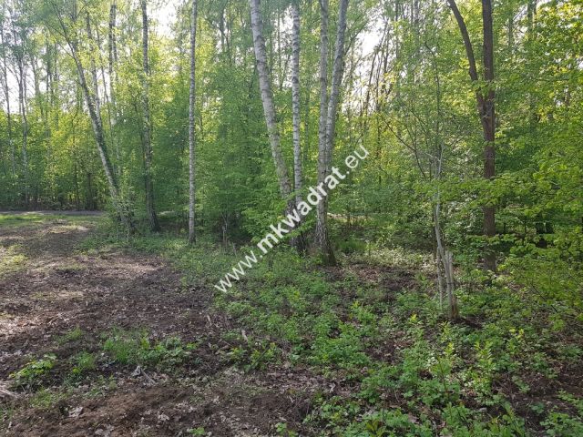 Działka rolna Stare Budy Radziejowskie. Zdjęcie 1