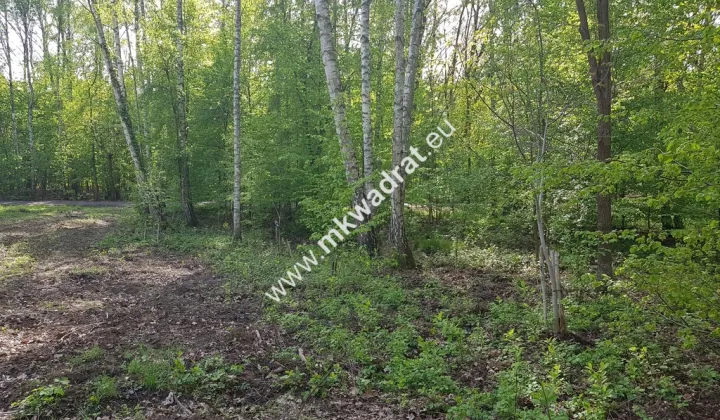 Działka rolna Stare Budy Radziejowskie