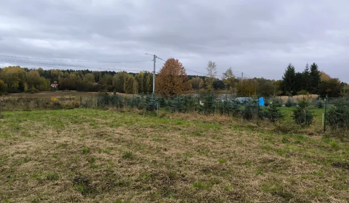 Działka budowlana Poręba, ul. Czarnej Przemszy