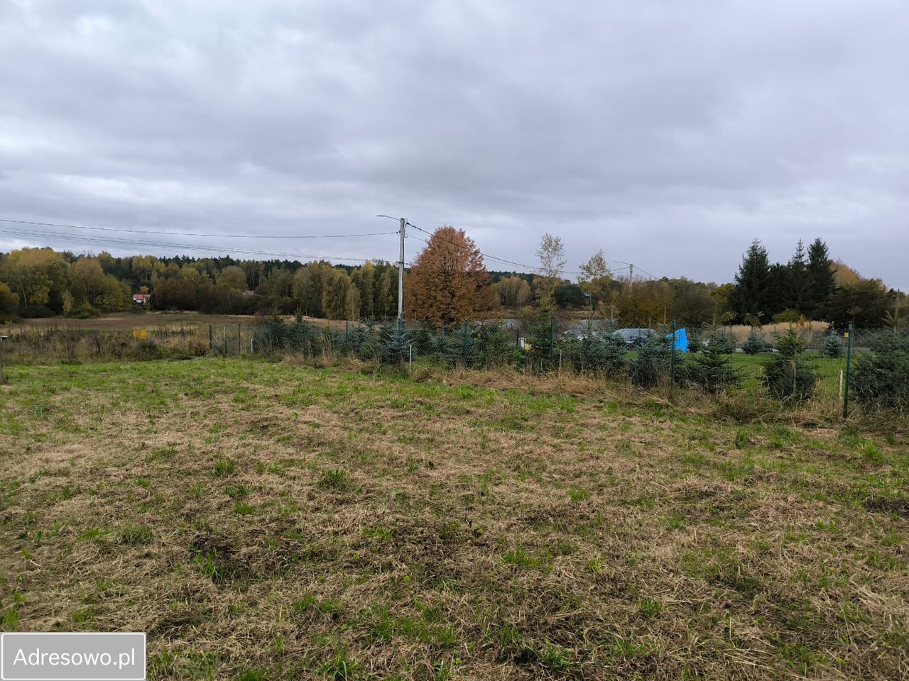 Działka budowlana Poręba Kierszula, ul. Czarnej Przemszy. Zdjęcie 5