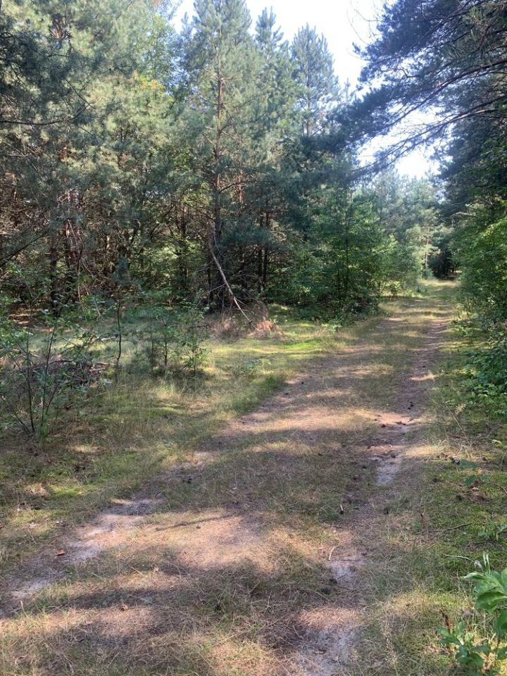 Działka budowlana Okuninka. Zdjęcie 3