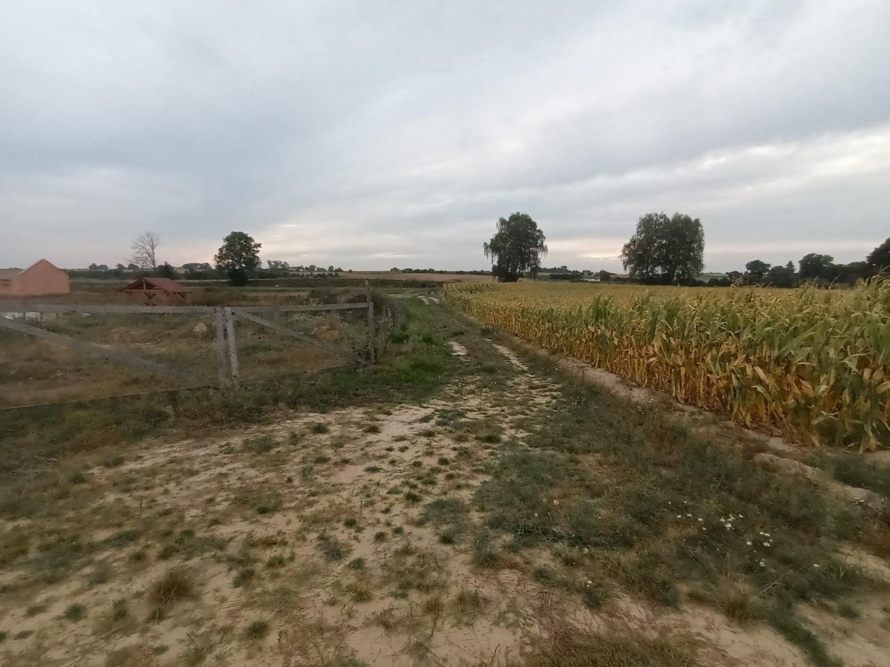 Działka inwestycyjna Strzyżewo Kościelne, os. Osiedle Nad Wełną. Zdjęcie 10