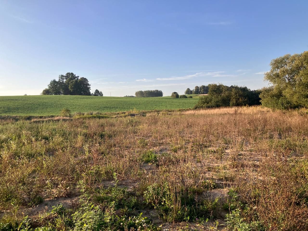 Działka rolna Popowo Salęckie. Zdjęcie 2