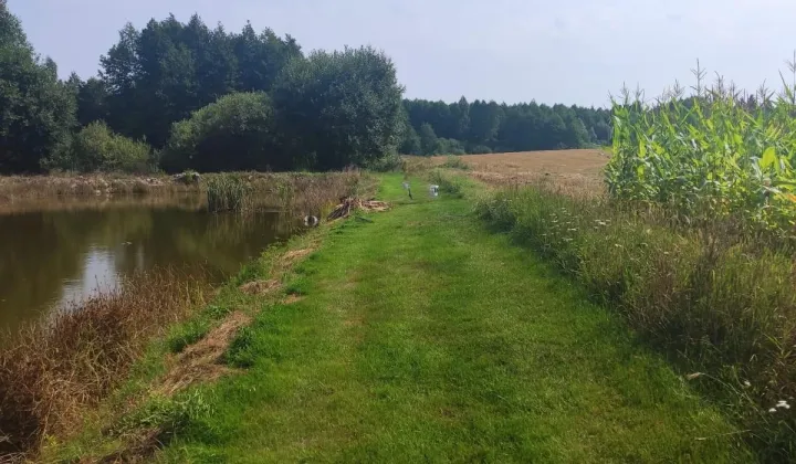 Działka rolna Nowy Lipsk