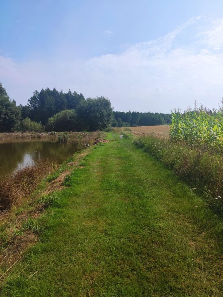 Działka rolna Nowy Lipsk