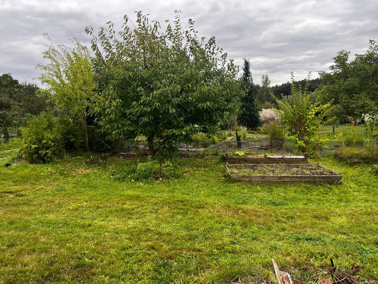 Działka rekreacyjna Zielona Góra Nowy Kisielin, ul. Stary Kisielin-Wiosenna. Zdjęcie 3