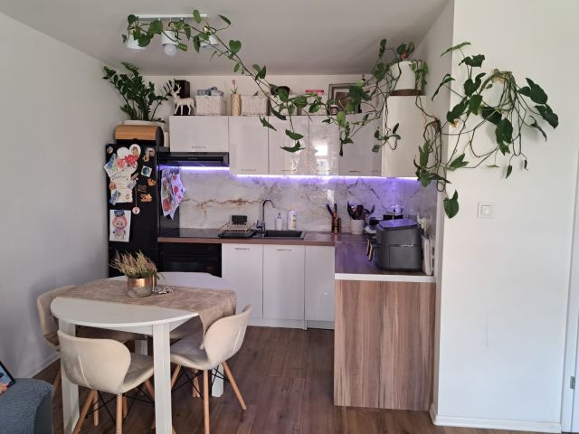 Mieszkanie 2-pokojowe Syców. Zdjęcie 1