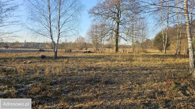 Działka budowlana Józefów, ul. Leśna. Zdjęcie 1