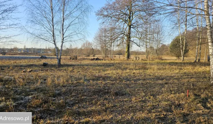 Działka budowlana Józefów, ul. Leśna