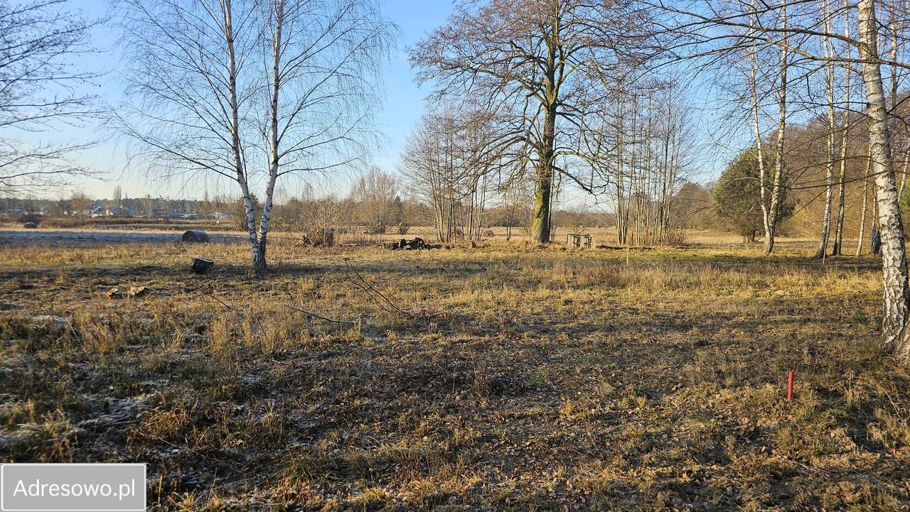 Działka budowlana Józefów, ul. Leśna. Zdjęcie 1