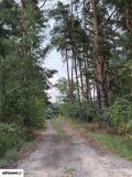 Działka budowlana Zimna Woda. Zdjęcie 4