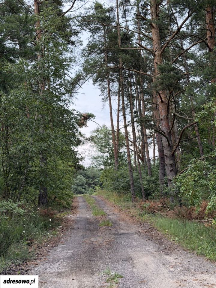 Działka budowlana Zimna Woda. Zdjęcie 5