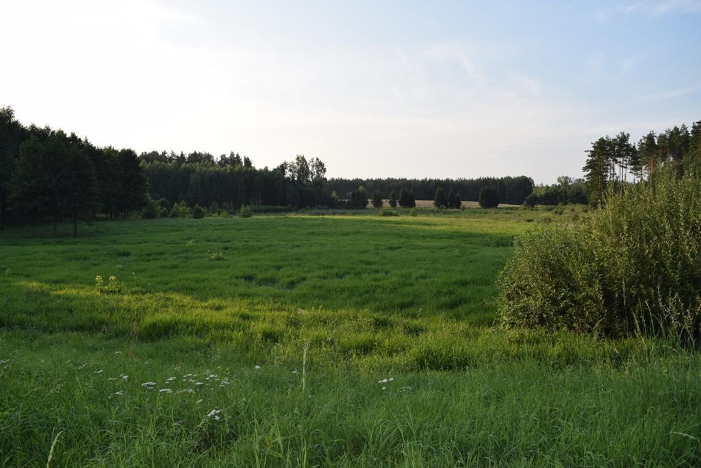 Działka budowlana Rydzewo. Zdjęcie 10