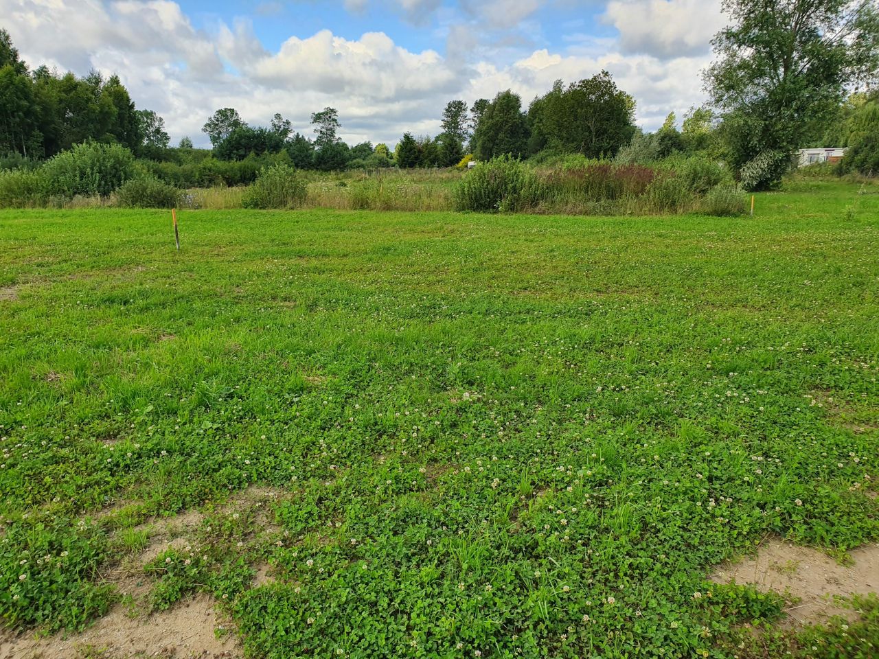 Działka rekreacyjna Karwia, ul. Mikołaja Kopernika. Zdjęcie 5