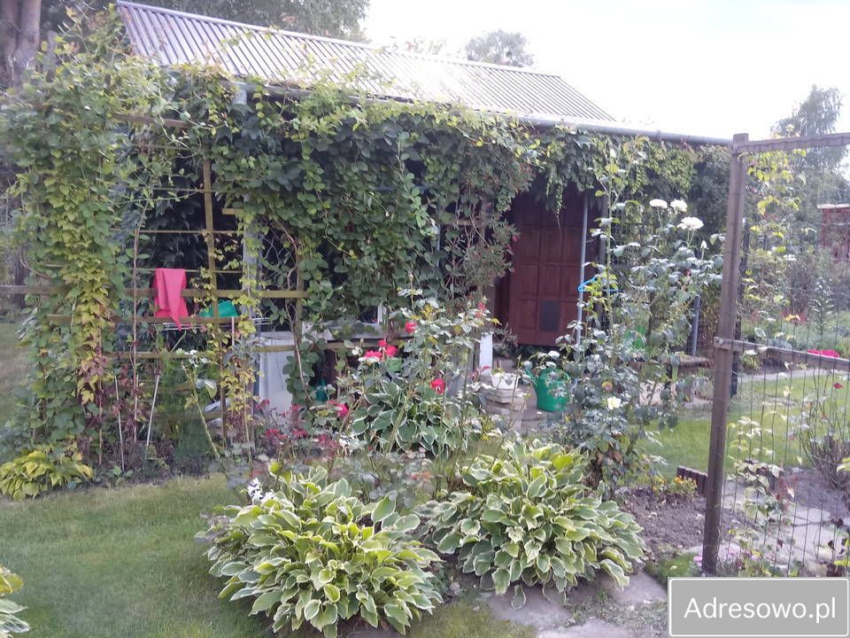 Działka rod Krasnystaw, ul. Grobla. Zdjęcie 3