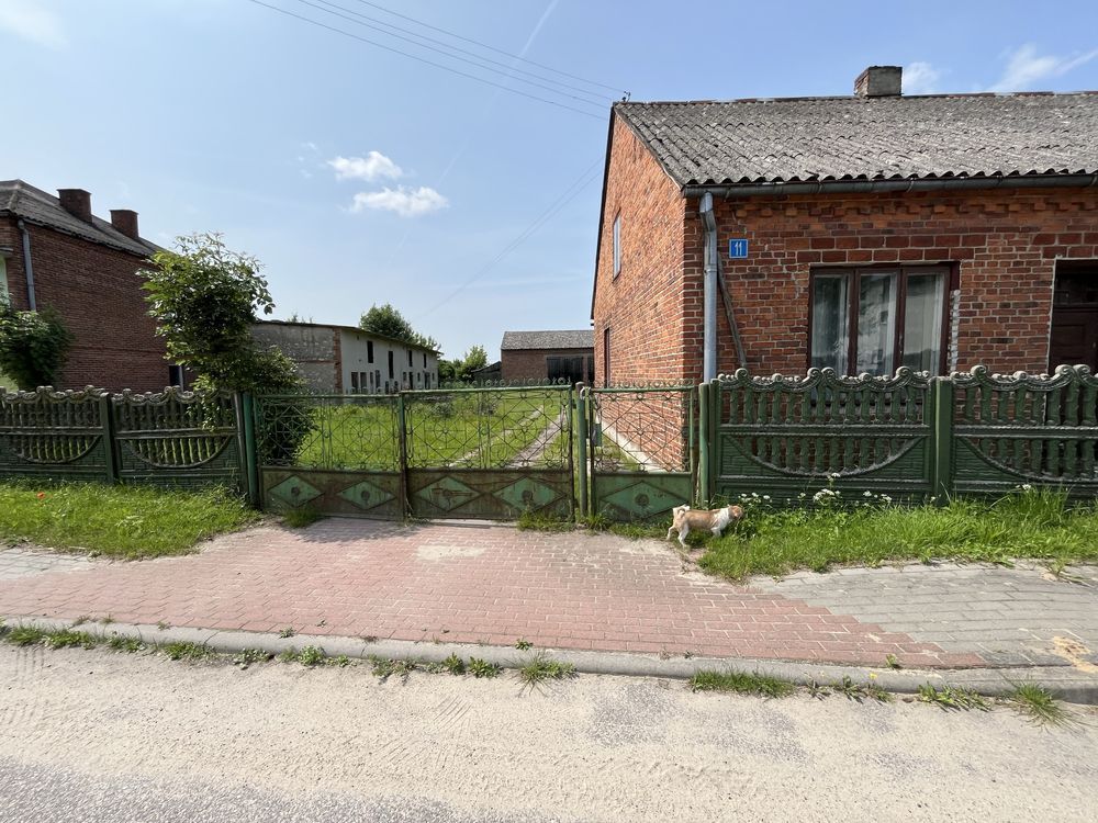 gospodarstwo Delfina. Zdjęcie 8