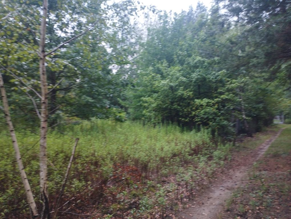 Działka budowlana Mieszkowo. Zdjęcie 8