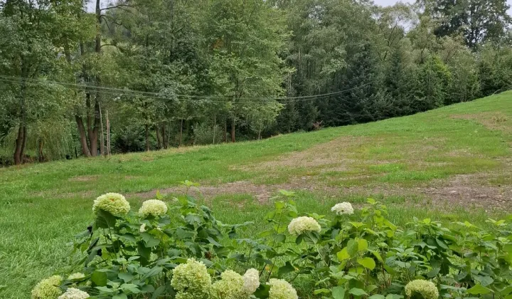 Działka budowlana Banica