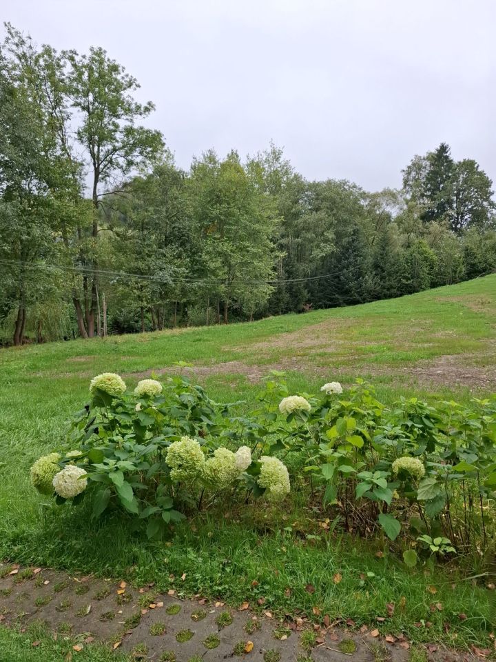 Działka budowlana Banica