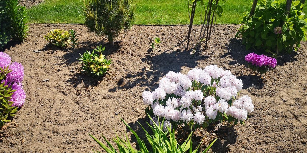 Działka rekreacyjna Wawrów. Zdjęcie 17