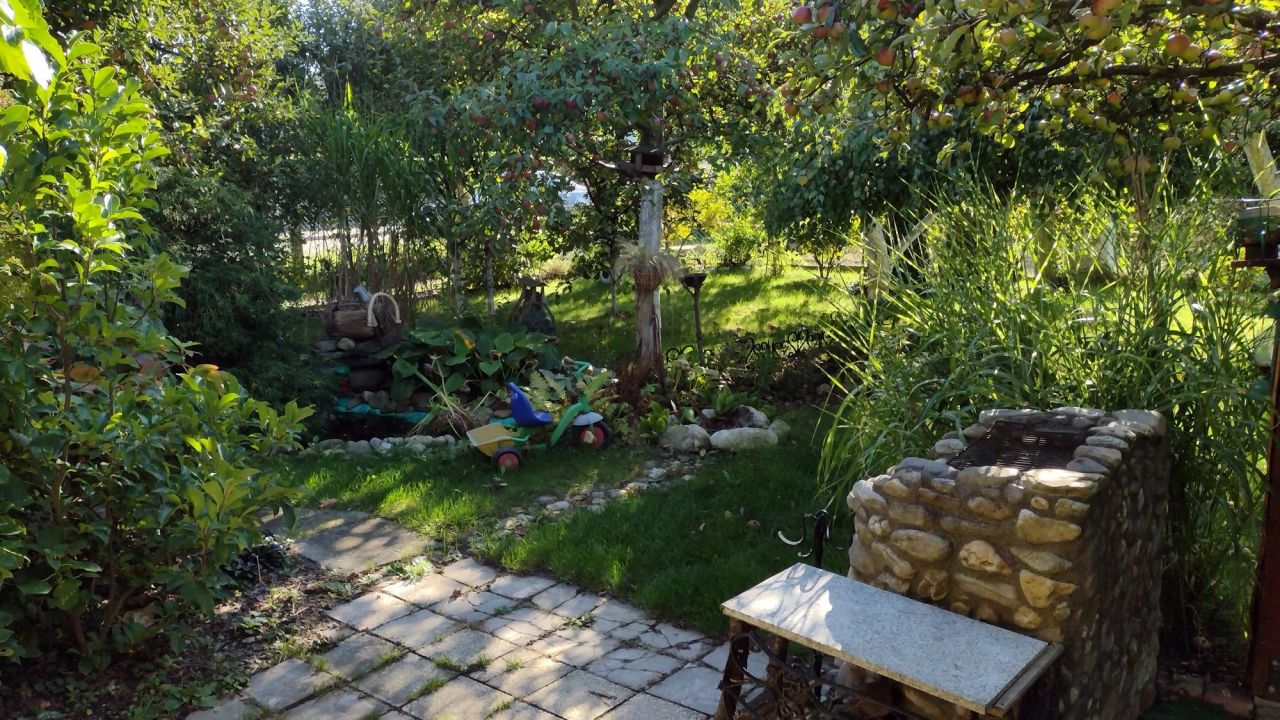 Działka rod Nysa. Zdjęcie 2