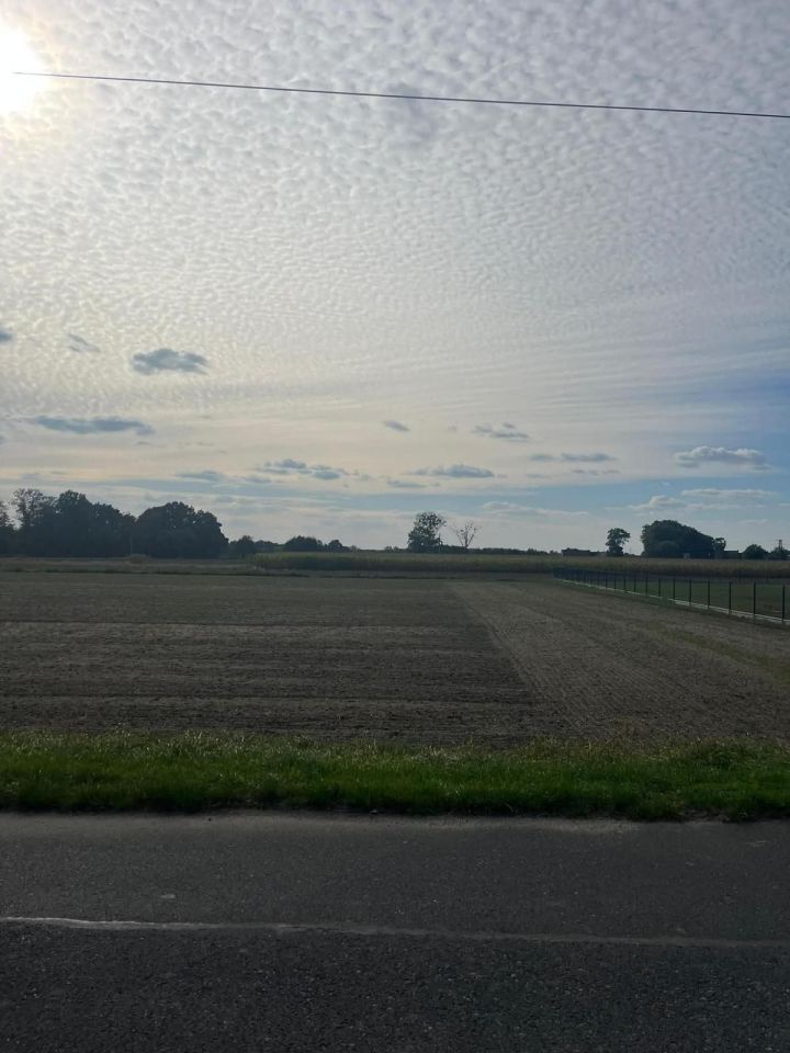 Działka budowlana Krępna. Zdjęcie 2