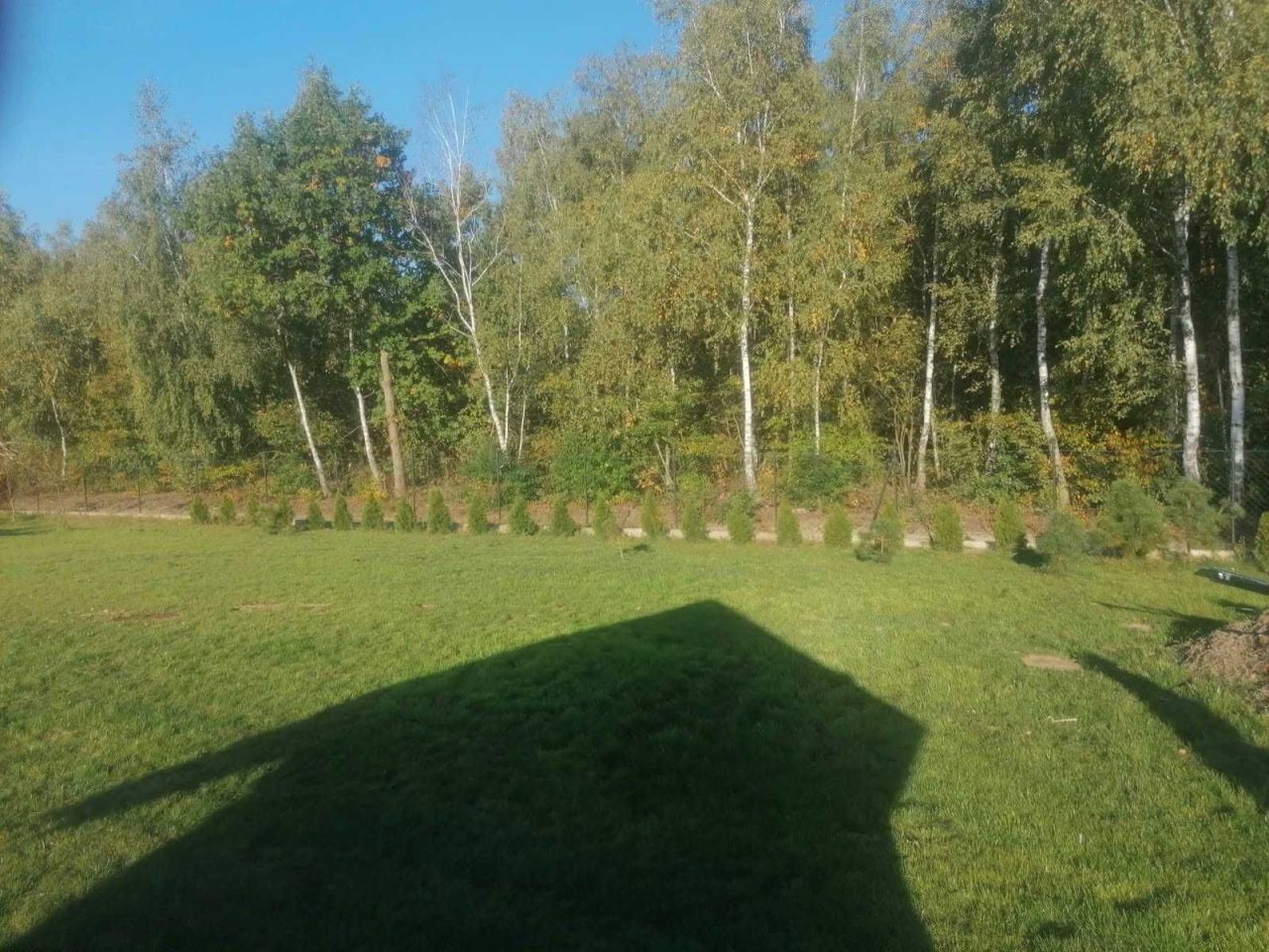 Działka rolno-budowlana Wilamy. Zdjęcie 3