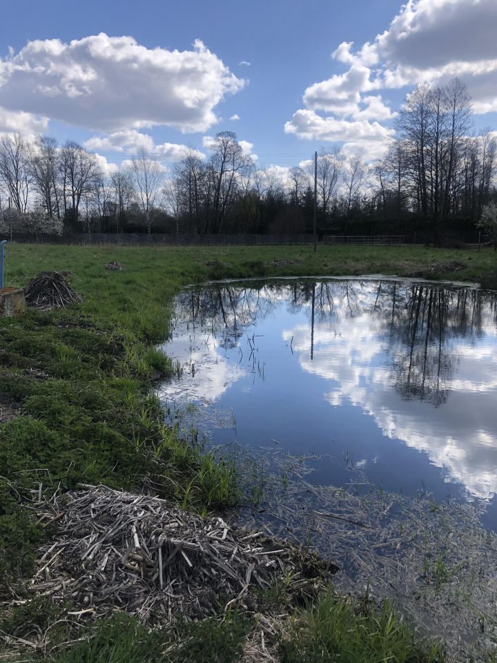 Działka inna Łódź Teofilów, ul. Kąkolowa. Zdjęcie 4