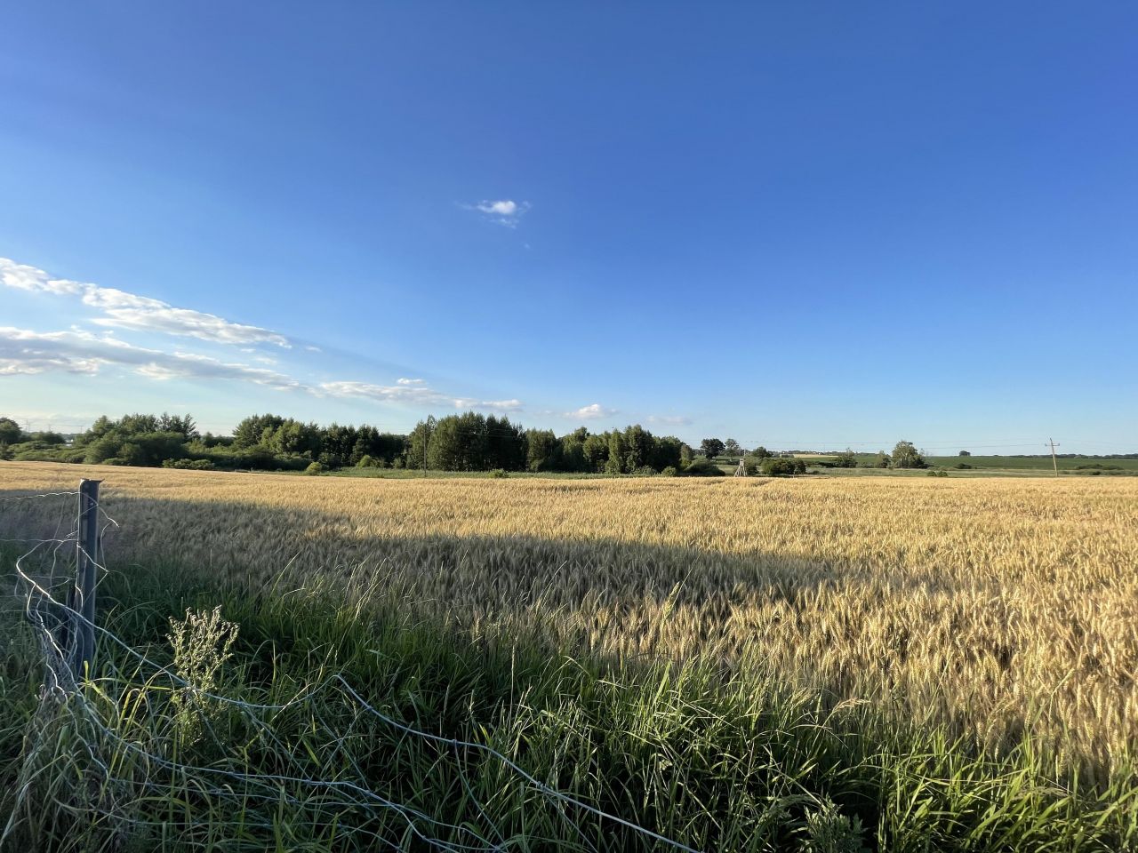 Działka rekreacyjna Załęże. Zdjęcie 5