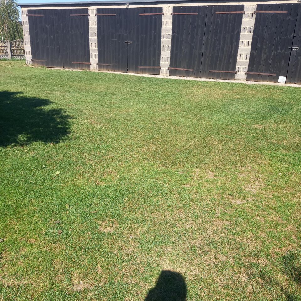 siedlisko, 4 pokoje Nowy Bógpomóż. Zdjęcie 4