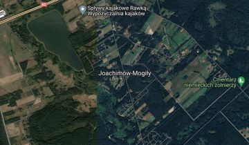 Działka rolno-budowlana Joachimów-Mogiły Tartak Bolimowski, ul. Leśna