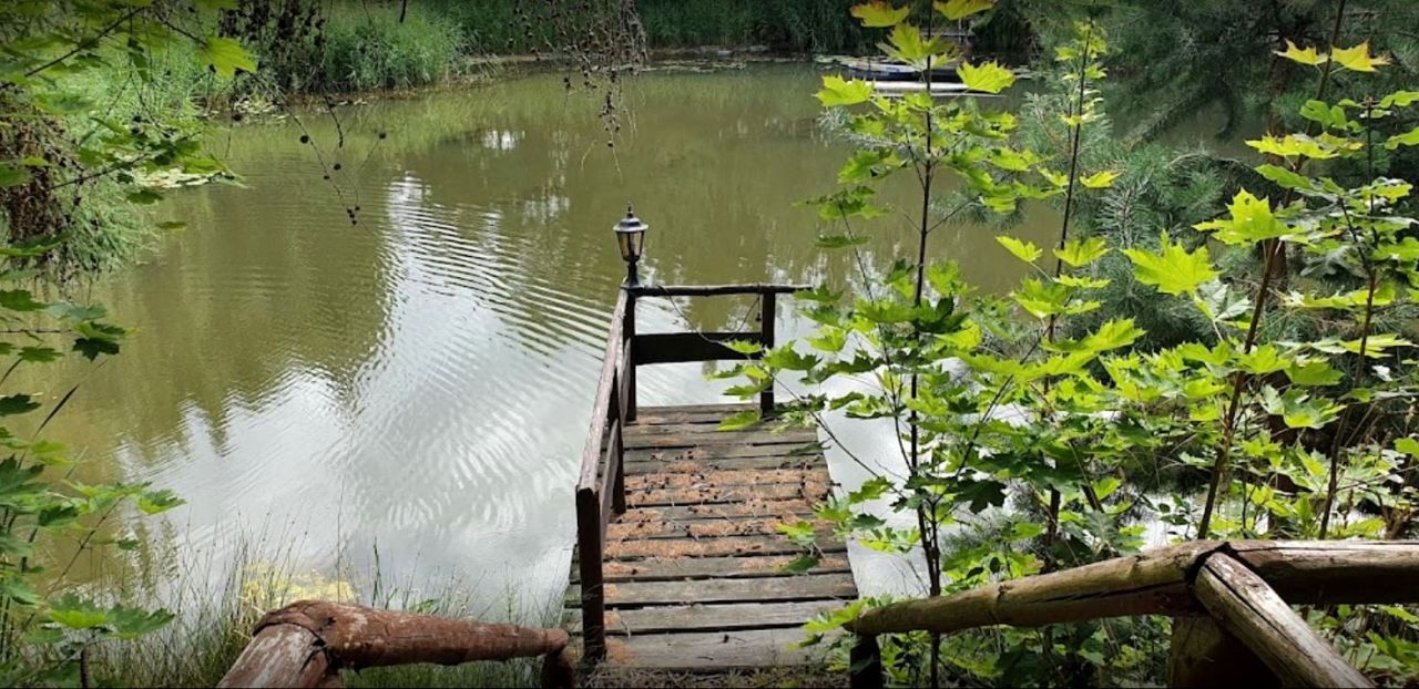 Lokal Buczyny. Zdjęcie 7