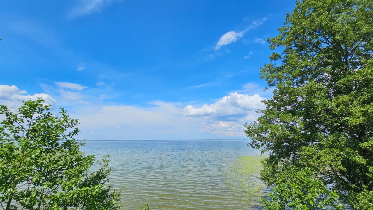 Działka rekreacyjna Zdory. Zdjęcie 17