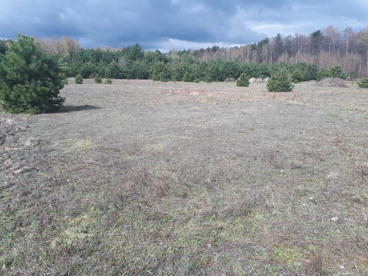 Działka rolna Kalonka. Zdjęcie 5