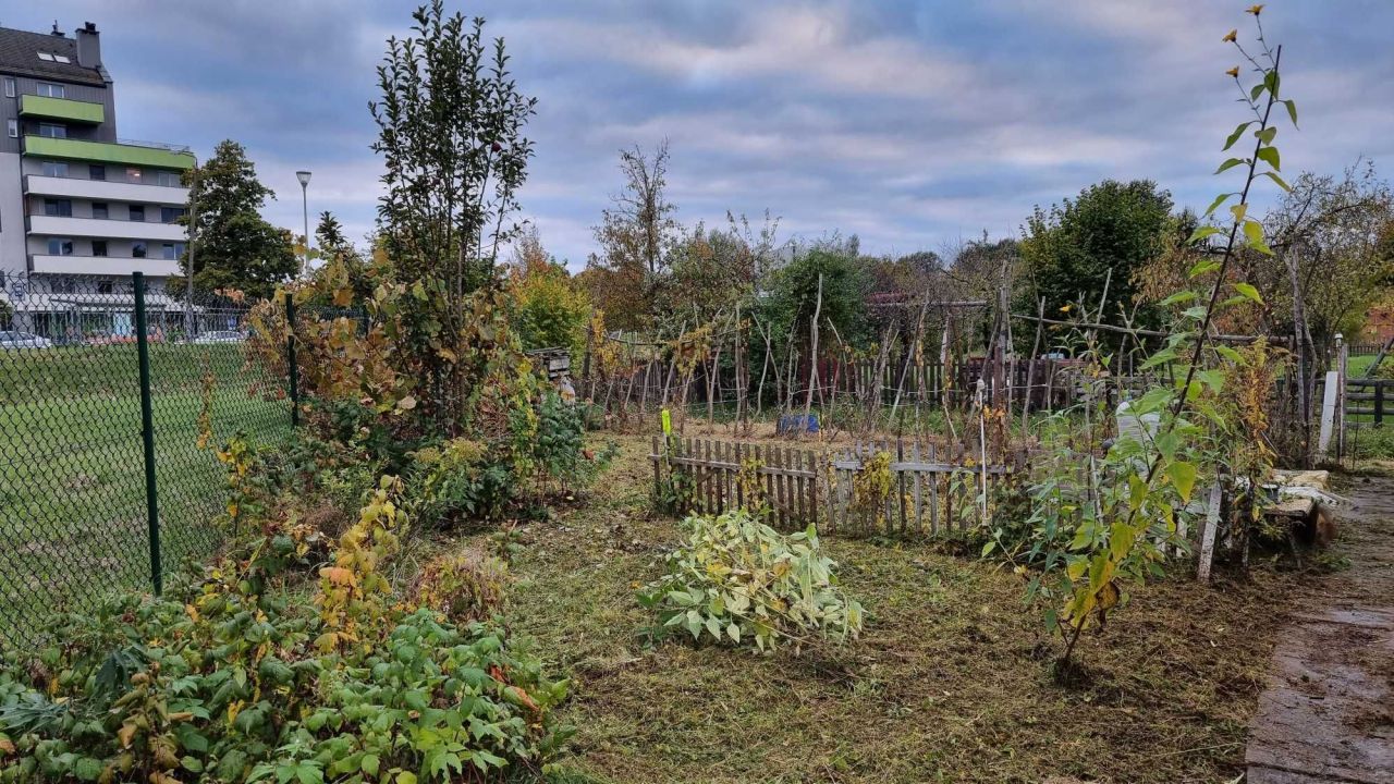 Działka rod Wrocław Stabłowice. Zdjęcie 4