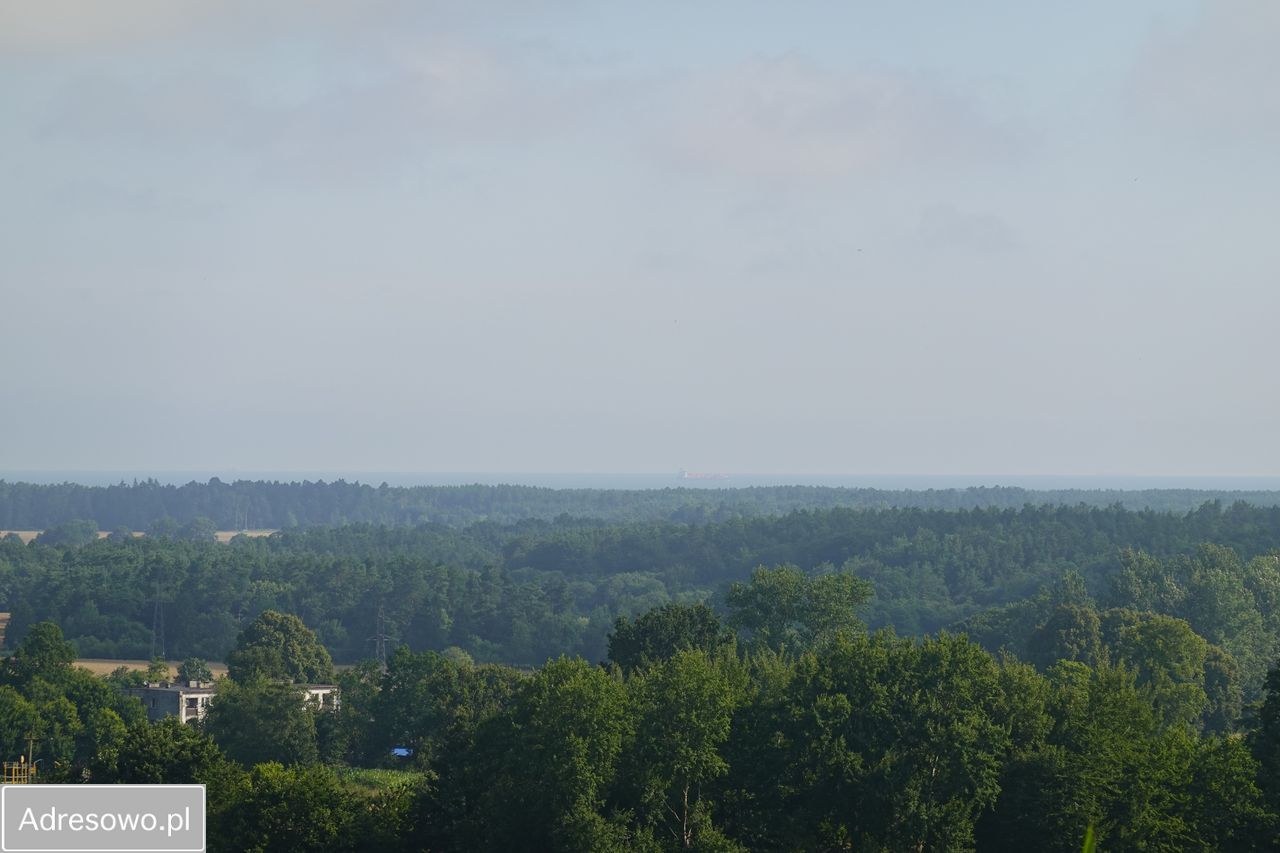 Działka budowlana Starbienino. Zdjęcie 5