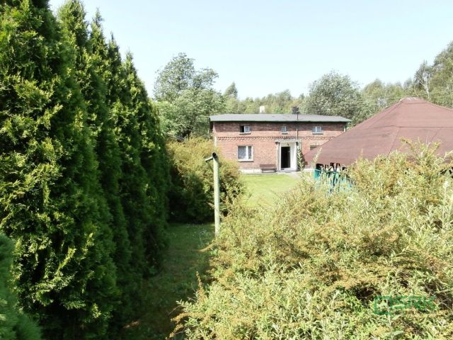 Działka Jankowice, ul. Podkościele. Zdjęcie 4