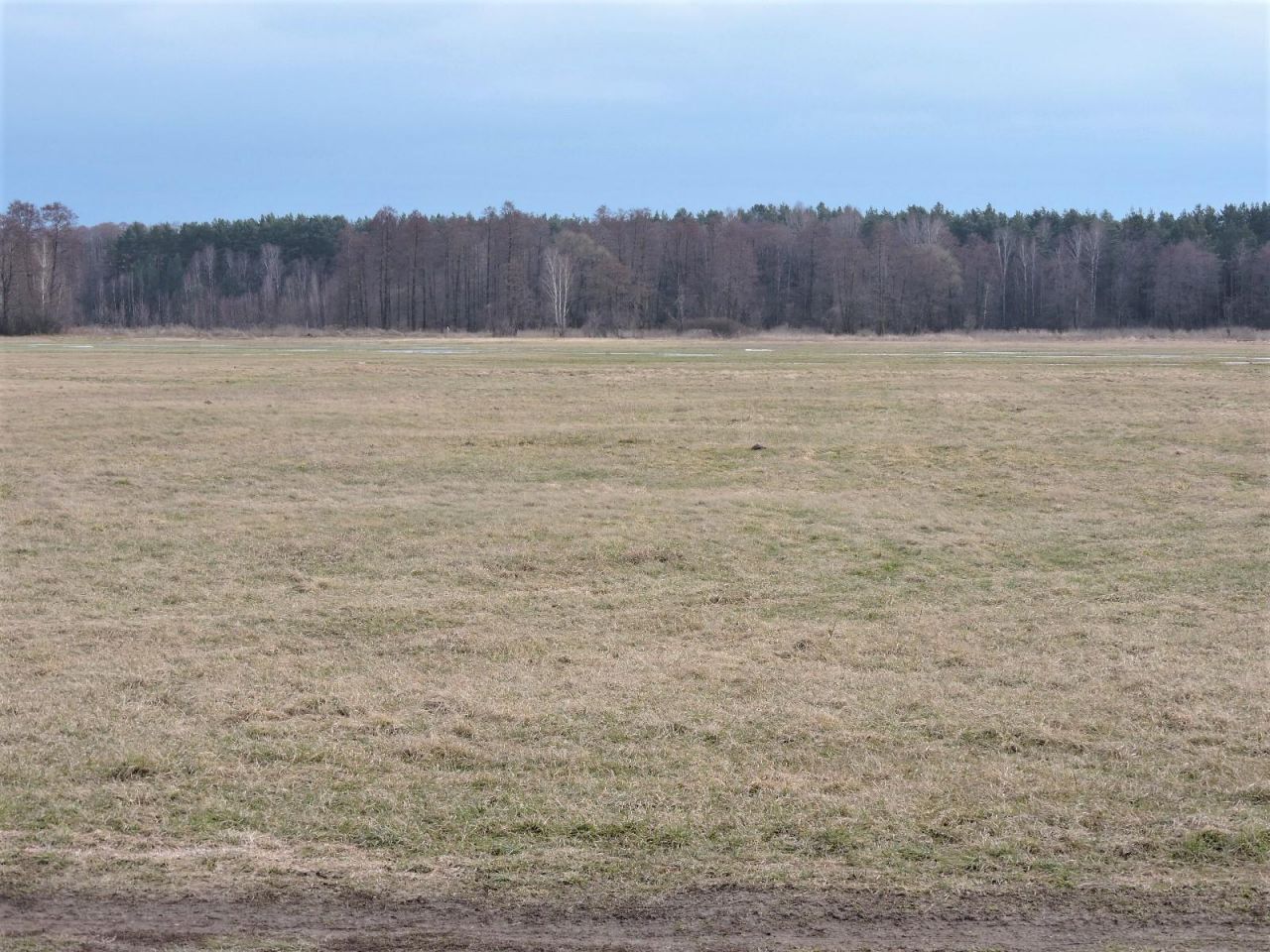 Działka rolna Kąck, ul. Malownicza. Zdjęcie 6