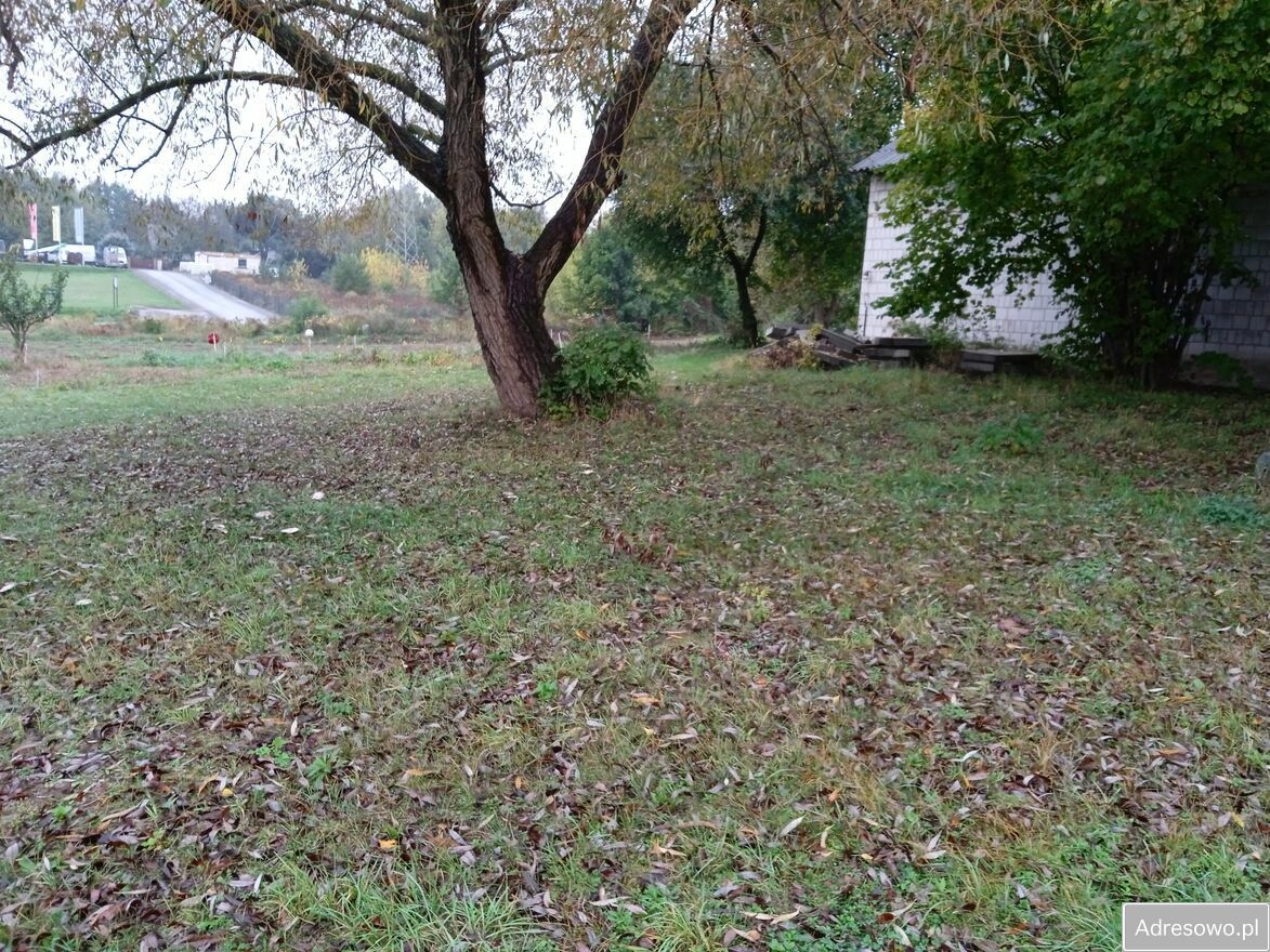 Działka budowlana Pliszczyn. Zdjęcie 3