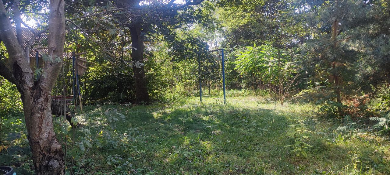 gospodarstwo, 3 pokoje Wólka Lipowa. Zdjęcie 39