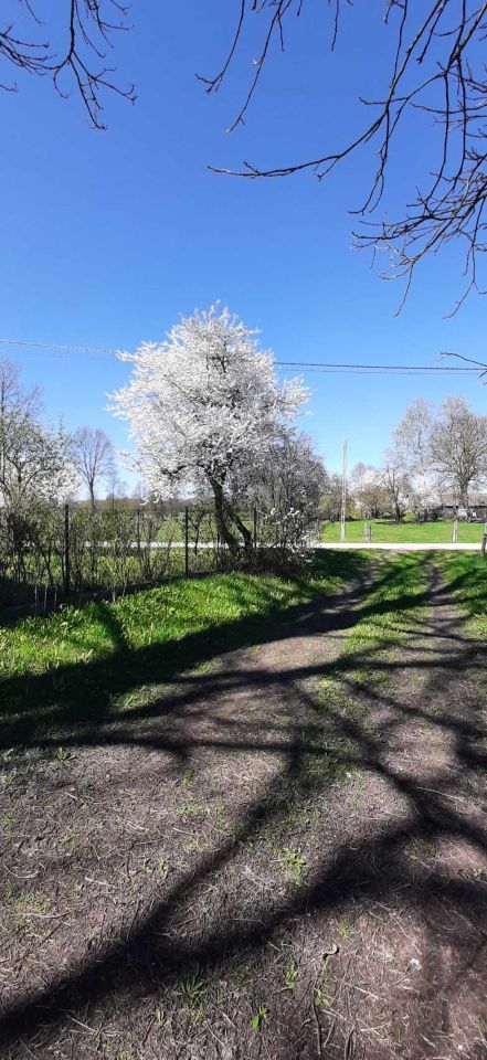 dom wolnostojący, 2 pokoje Wasiły-Zygny. Zdjęcie 12