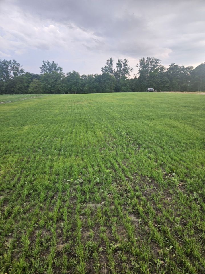 Działka rekreacyjna Nowe Żeńsko. Zdjęcie 6