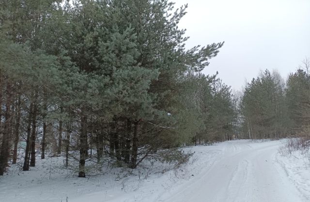 Działka rod Białystok Bagnówka, ul. Krzysztofa Pendereckiego. Zdjęcie 20